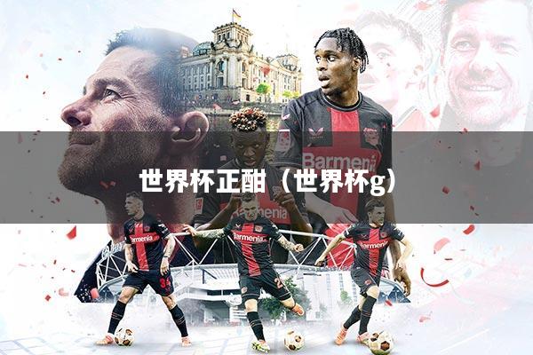 世界杯正酣（世界杯g）
