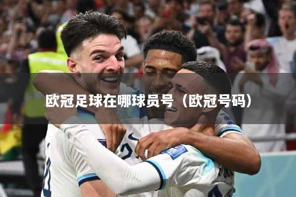 欧冠足球在哪球员号（欧冠号码）