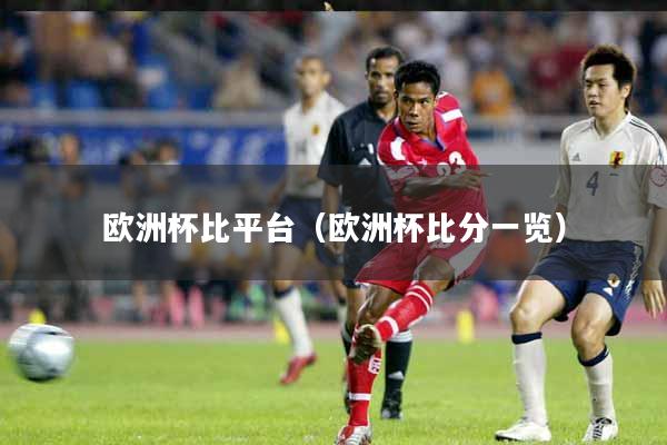 欧洲杯比平台(欧洲杯比分一览)