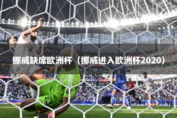 挪威缺席欧洲杯（挪威进入欧洲杯2020）