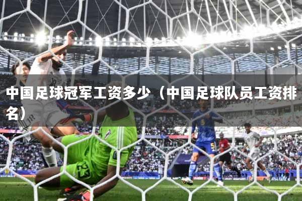 中国足球冠军工资多少(中国足球队员工资排名)