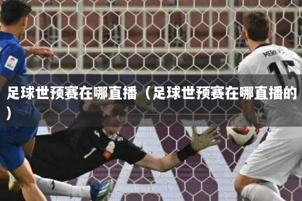 详细阅读:足球世预赛在哪直播(足球世预赛在哪直播的) 足球世预赛在哪直播(足球世预赛在哪直播的)