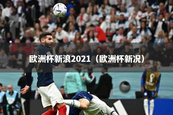 欧洲杯新浪2021（欧洲杯新况）