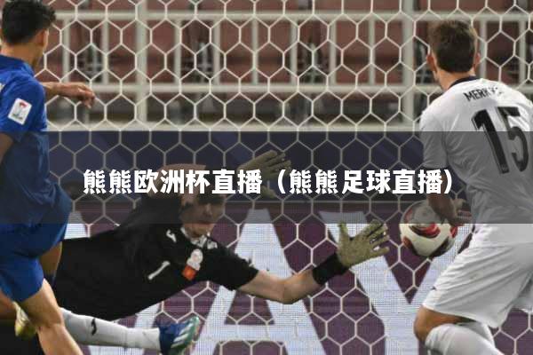熊熊欧洲杯直播(熊熊足球直播)