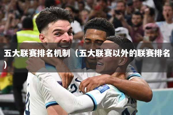 五大联赛排名机制（五大联赛以外的联赛排名）