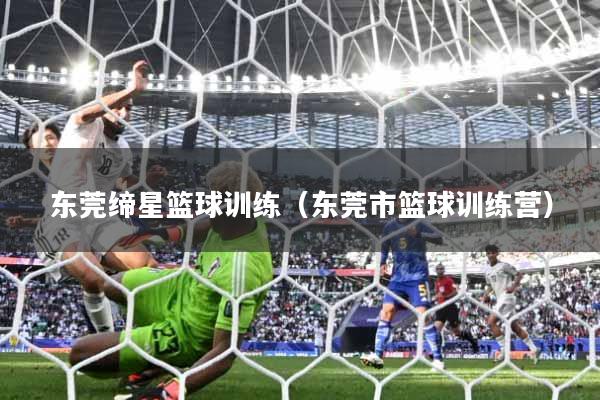 东莞缔星篮球训练(东莞市篮球训练营)