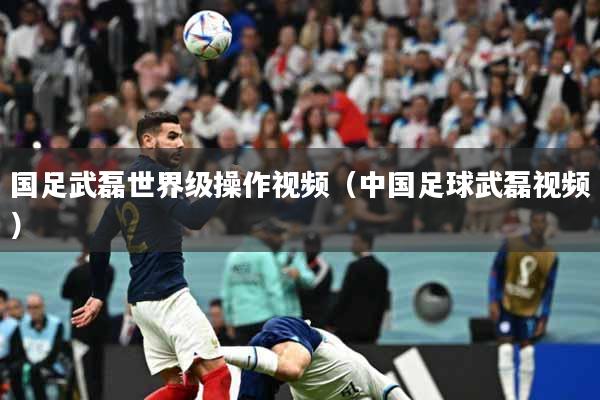 国足武磊世界级操作视频（中国足球武磊视频）
