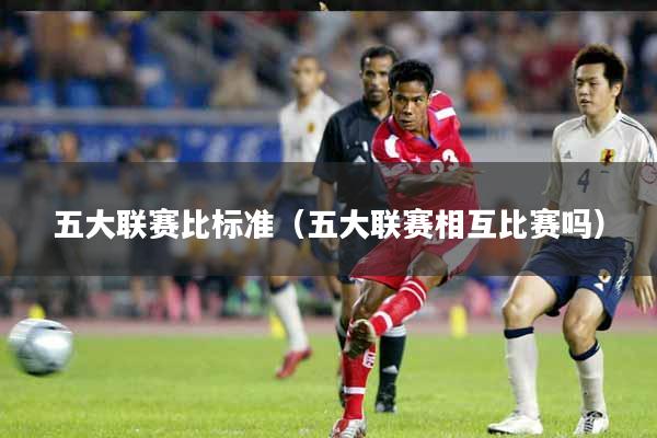 五大联赛比标准（五大联赛相互比赛吗）
