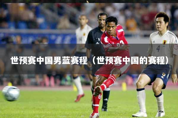 世预赛中国男蓝赛程（世预赛中国的赛程）
