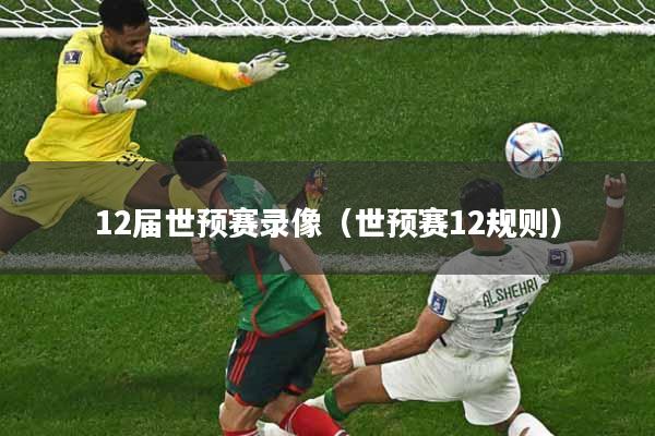 12届世预赛录像（世预赛12规则）
