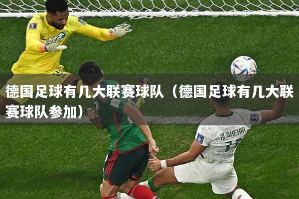 德国足球有几大联赛球队（德国足球有几大联赛球队参加）